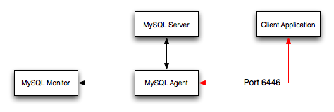 MySQL Enterprise Dashboard: Query Analyzer
            agent/monitor topology