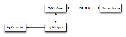 MySQL Enterprise Dashboard: Standard agent/monitor
            topology